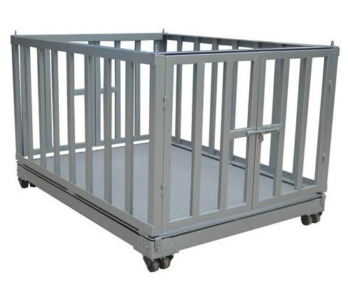 2��2�ׄ�(d��ng)���