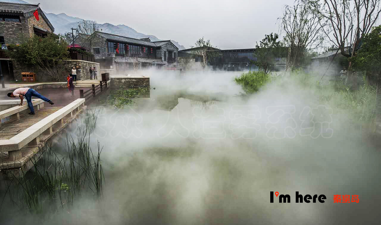 秦皇島霧森現(xiàn)場 秦皇島霧森現(xiàn)場