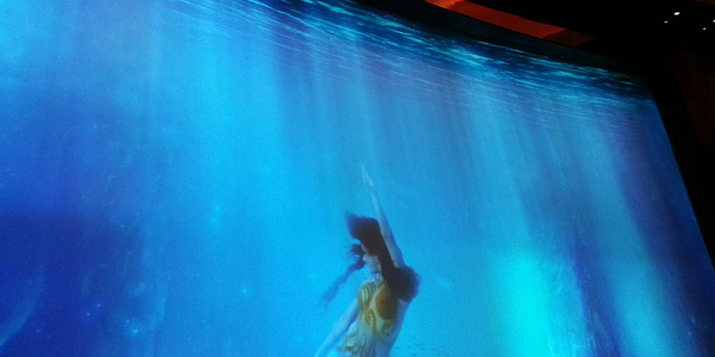 數(shù)碼水簾 數(shù)碼水簾